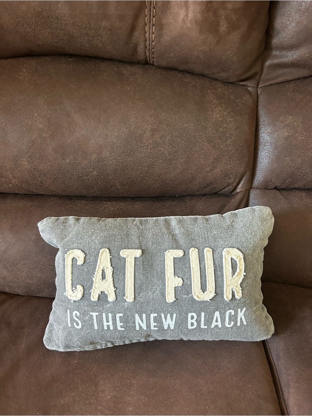 Decorative Gray 'Cat Fur Is The New Black' Pillow